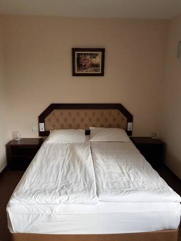 Фото номера Двухместный номер с 1 кроватью Отель Hotel Podkovata г. Етрополе 13