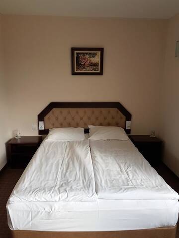 Фото номера Двухместный номер с 1 кроватью Отель Hotel Podkovata г. Етрополе 6